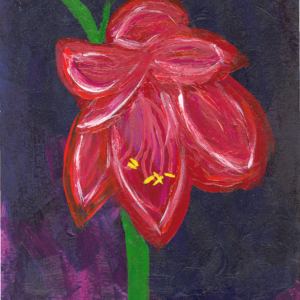 Barbados Lily (Original)