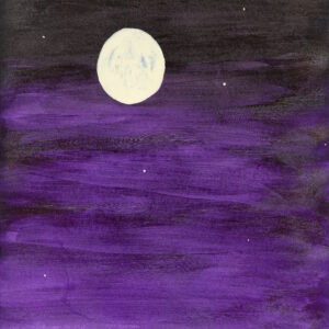 The Velvet Night (Original)