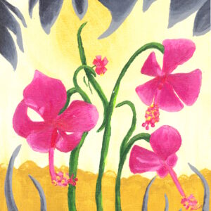 Desert Hibiscus (Original)