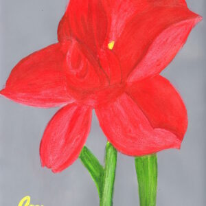 The Crimson Trumpet (Original)