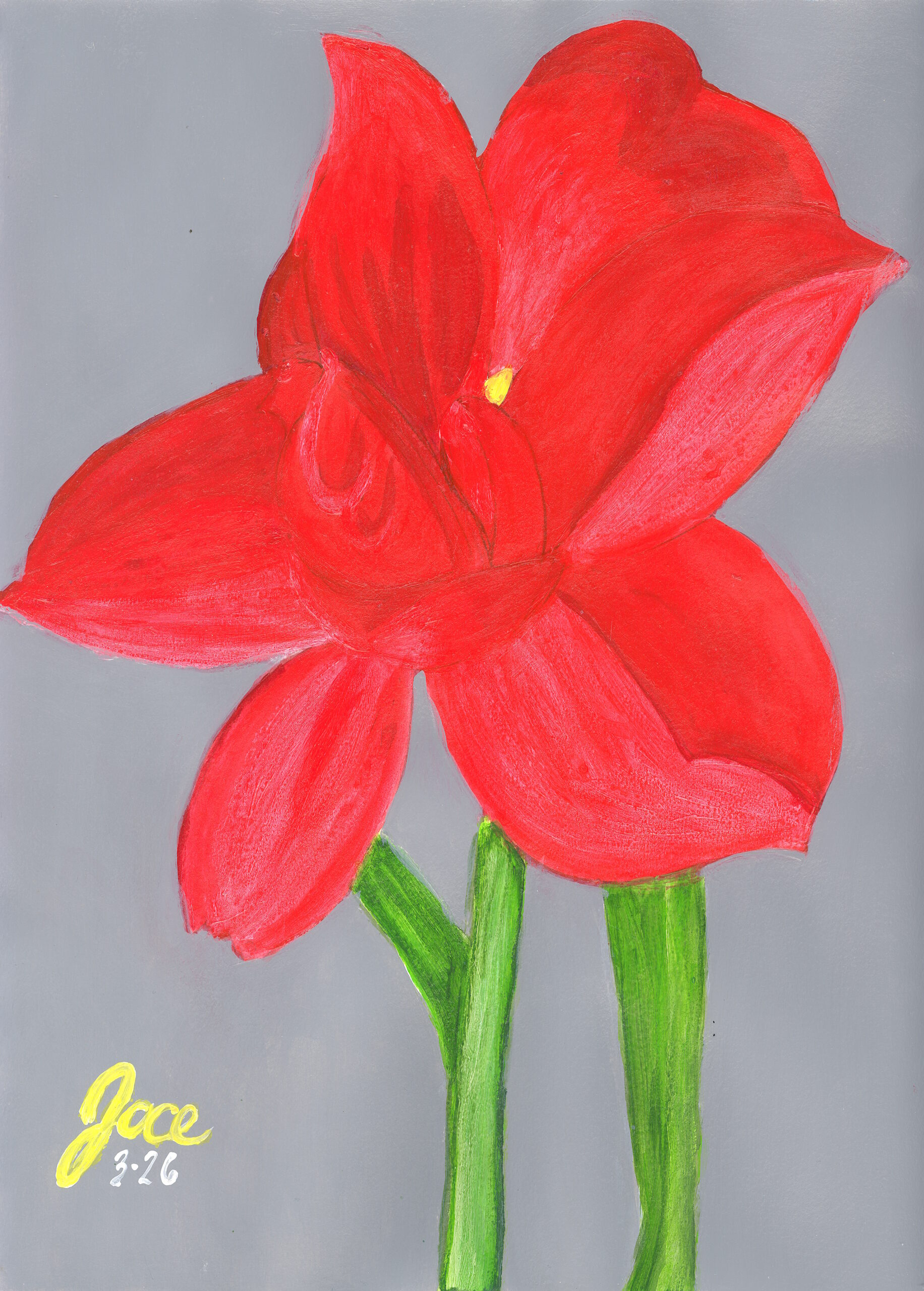 Botanical Pulse: Visual rhythms of the garden
