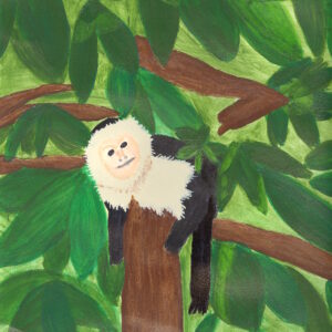 Capuchin in the Canopy (Original)