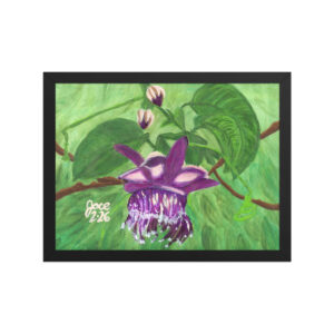 Purple Passion Petal (Copy)