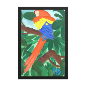 Macaw in the Jungle Canopy (Copy)